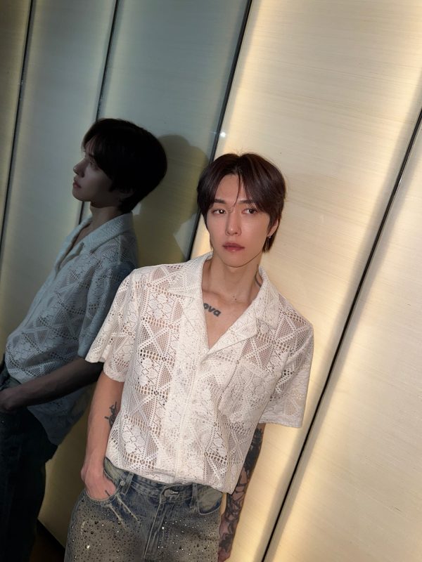 Hollow Lace Short-sleeved Shirt Online Sale - Image 3